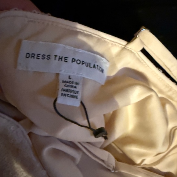 HOT 🔥 Dress The Population Dress - Picture 8 of 8